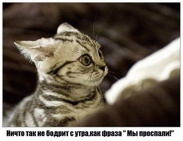 Так себе картинки 19.05.21