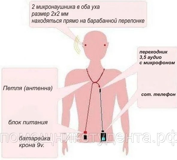 Дуб, как слышно? Как слышишь меня? Лопух не догадался? Диктую ответ на первый вопрос девятого билета