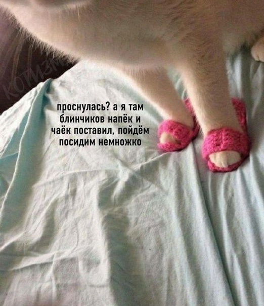 Картинки и мемы для настроения