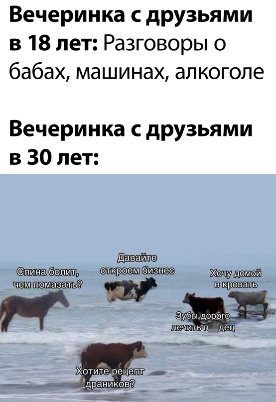 Весёлый полтишок 15.08