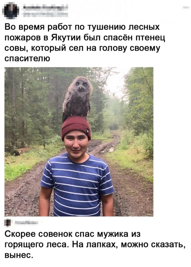 Так себе картинки 17.08.21