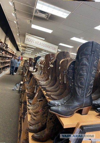 А не сшить ли нам ботинки?