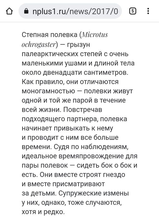 Выпь