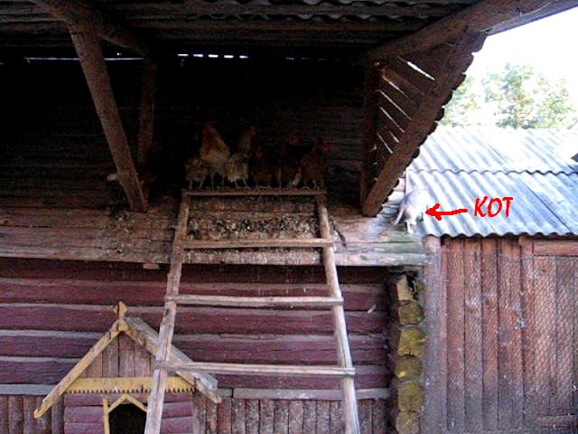 Агроусадьба "Панский сад". Мои впечатления.