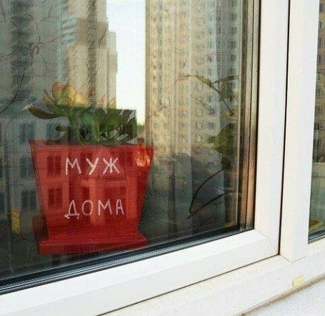 Так себе картинки 31.12.21