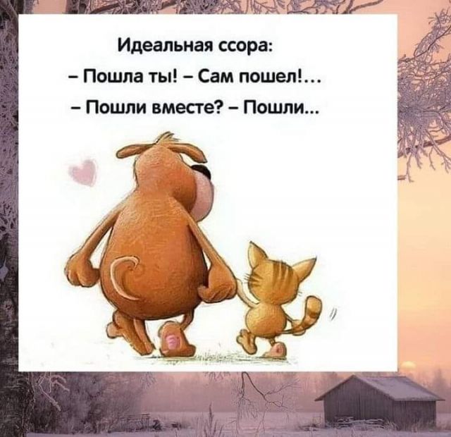 Котовторник. Картинки и буквы 08.02.22