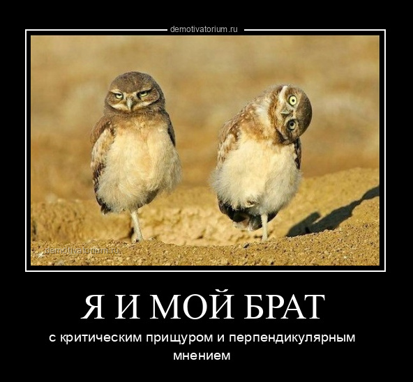 Пандемия. Коронавирус. Россия и мир. Часть 29