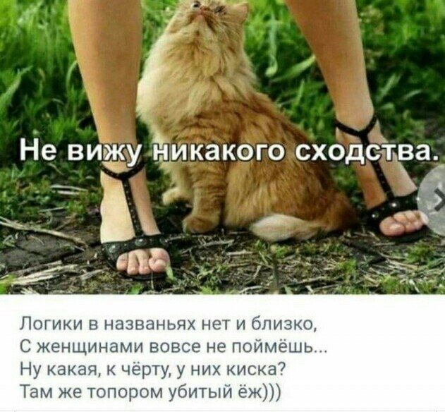 Мемы про секас (и не только) #4