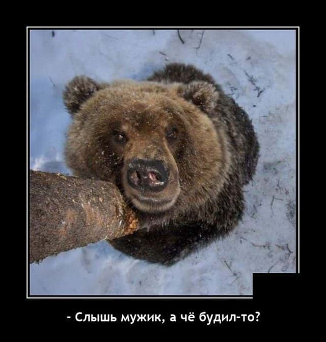 Алкопост 25.02.22