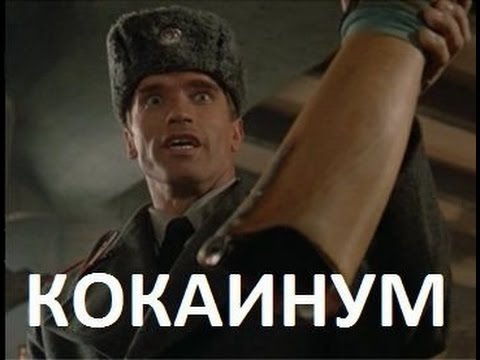 Три премьер-министра едут в Киев