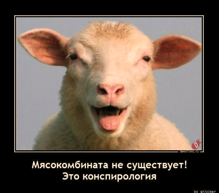 Существует ли магия и как на самом деле действует порча⁠⁠