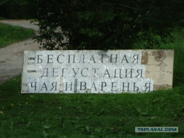 Кавказ-2012