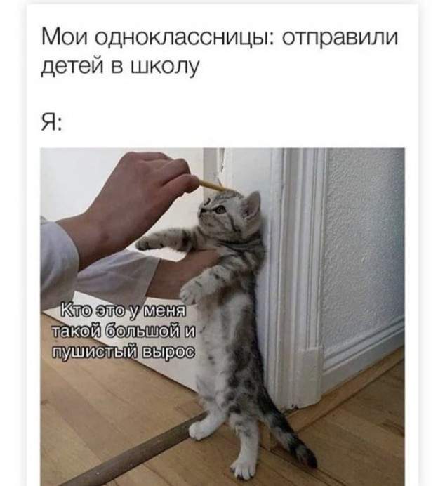 Немного картинок для настроения - 125