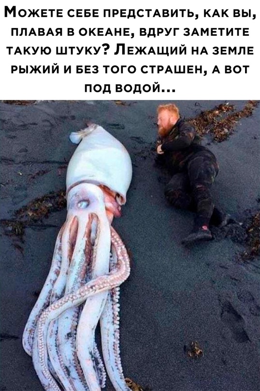 Весёлый полтишок  26.10.22