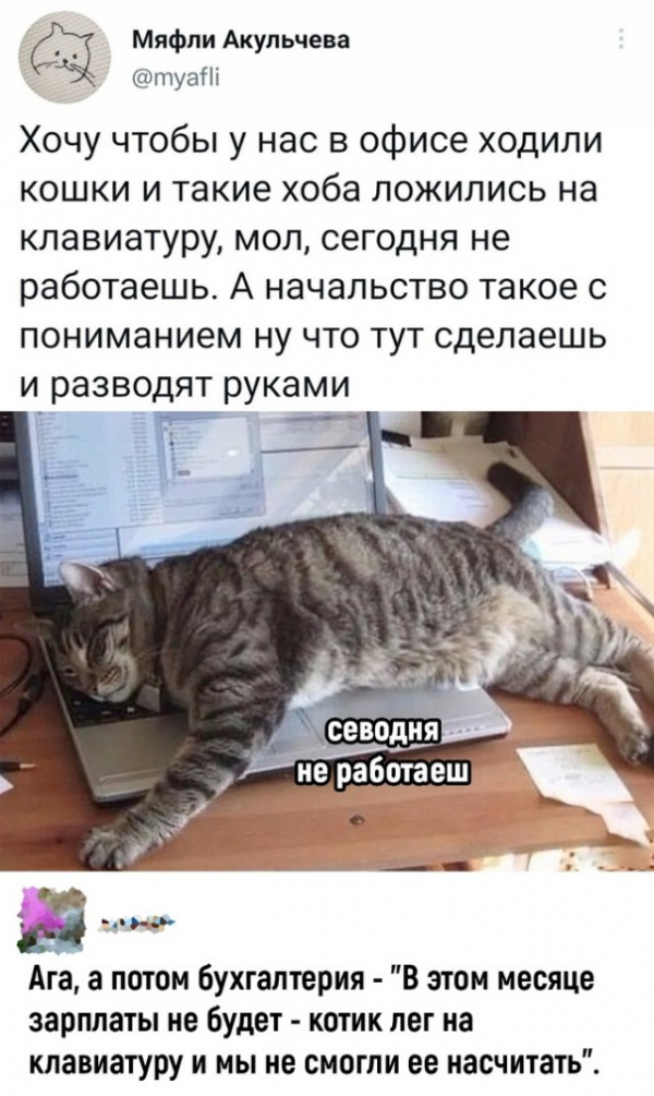 Немного картинок для настроения - 125