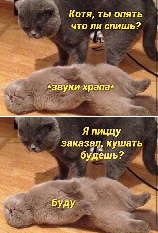 Немного картинок для настроения - 117