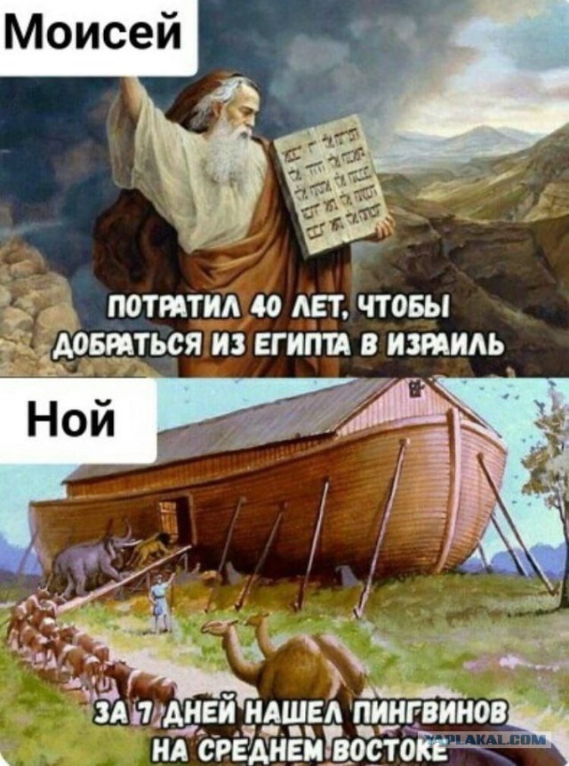 Народная меДИЧна 2012