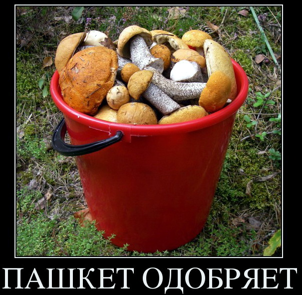 Решил спеть в субботу на отходняках