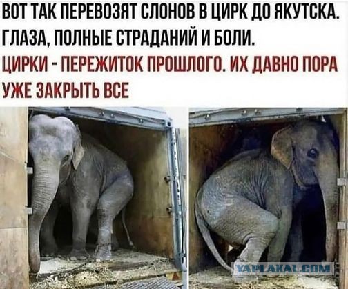У котика плохое настроение