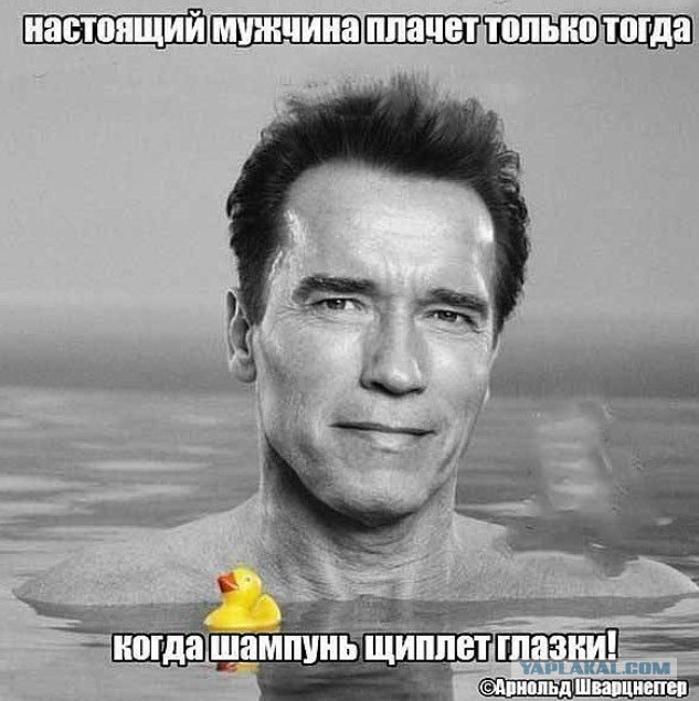 Налетай! Халявные бойаны!