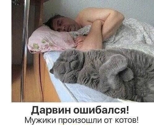 Так себе картинки 23.02.23
