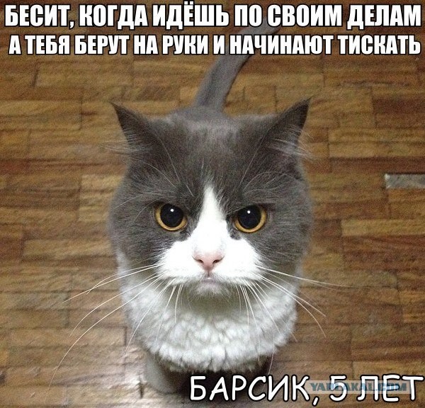 Жить ли с РСП?