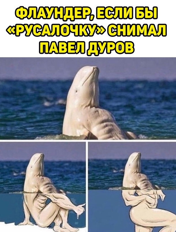 Весёлый полтишок 08.05.23