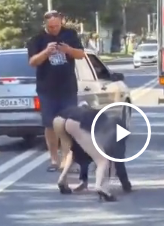 В Ростове-на-Дону девушка в полном неадеквате ехала по встречке, пока очевидцы не остановили ее: дама не стояла на ногах