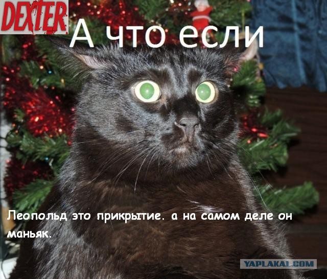 А что если?