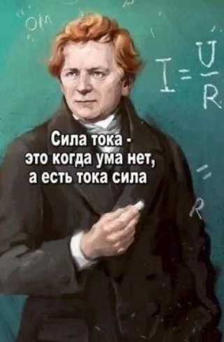 30% россиян выступают за исключение теории Дарвина из школьного курса — ВЦИОМ