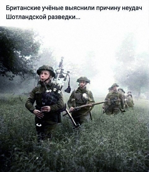 Волынка