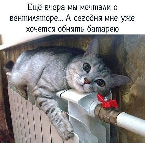 Так себе картинки 13.10.24