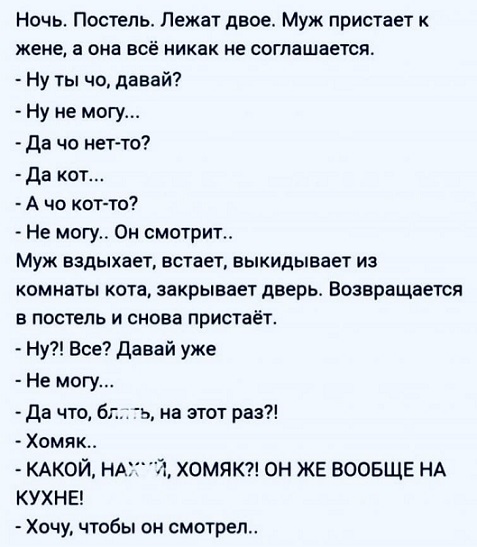 Пятачок, стреляй!