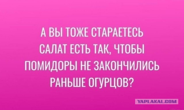 Так себе картинки 14.03.25