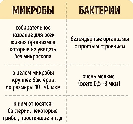 Иногда это мы путаем