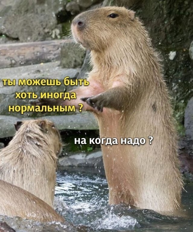 В связи с последними событиями