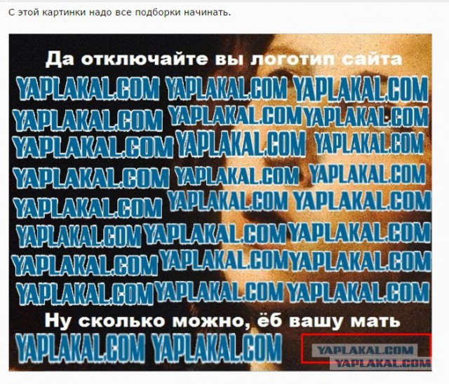 Субботние картинки