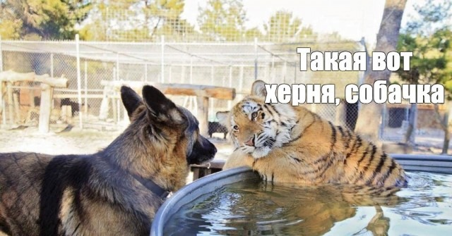 А кому сейчас легко