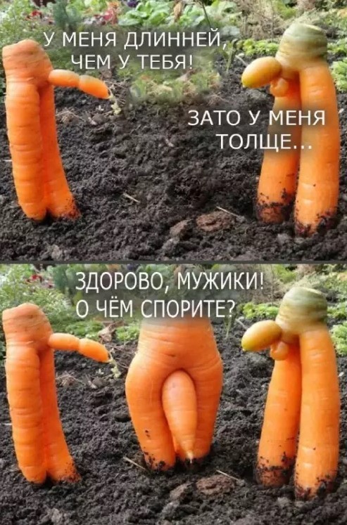 Картинки для деградации 197 (разной степени свежести)