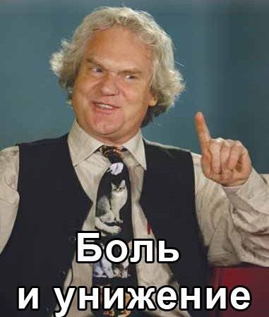Прямо служебная собака, а не кот