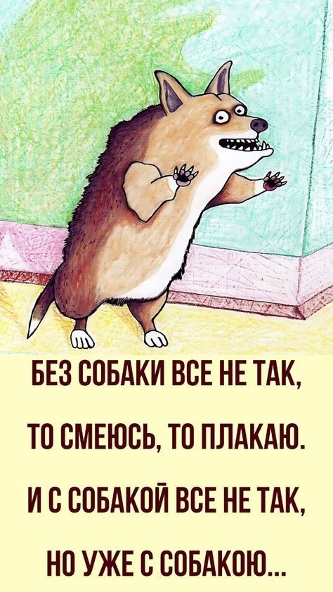 Самая красивая девочка на свете