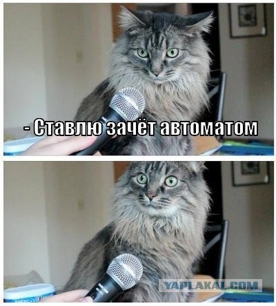 Вот это поворот!