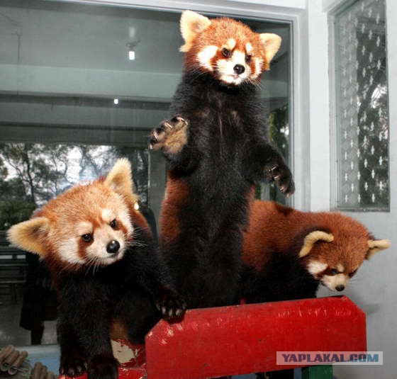 На злобу дня!