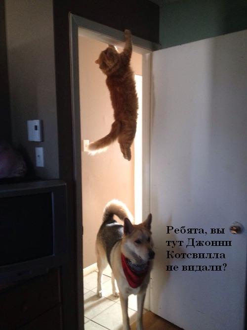 Ну вы поняли о чем я