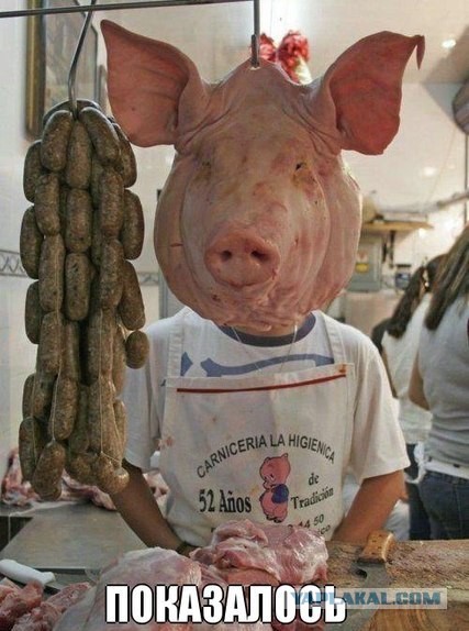 Смешные комментарии из социальных сетей #2