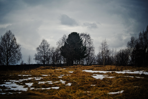 Скоро зима, товарищи !