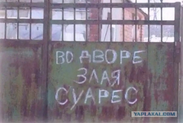 Спорт с улыбкой, интересности в сети