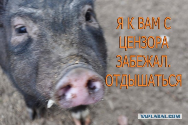 Военные действия в Донбассе без прикрас