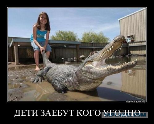 После схватки с ребенком крокодил лишился зуба