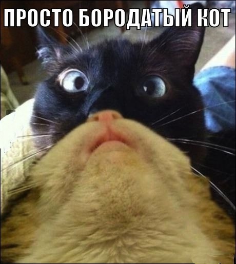 Картинки, вроде смешные.